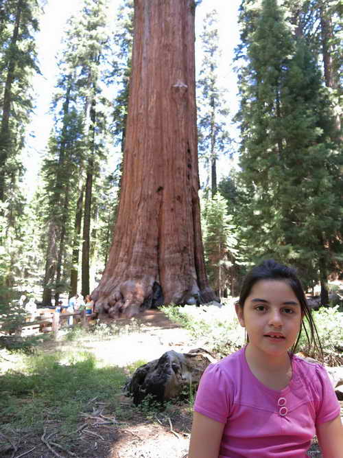 USA_2013-07-07 11-42-32_IMG_1135
